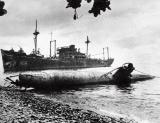 ww2/pacific/21 - Scuttlered Japanese ships.jpg